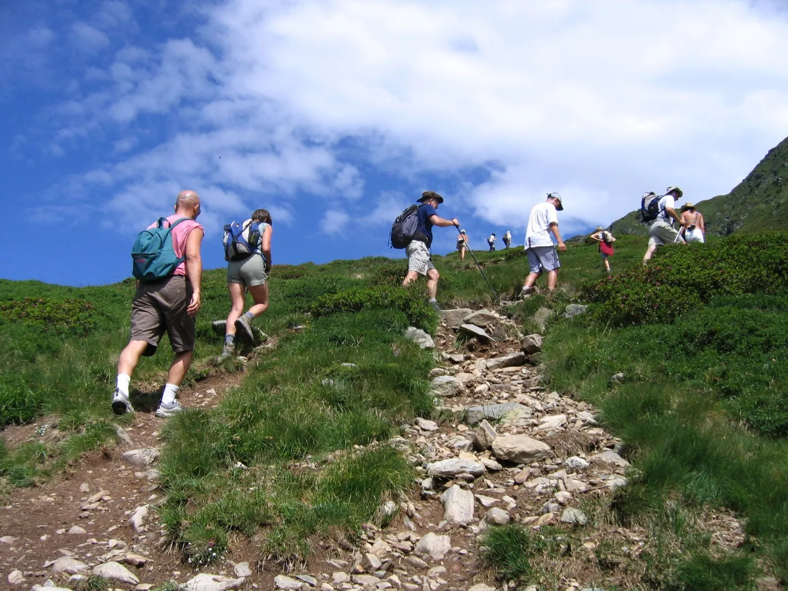 Randonneurs sur un sentier d'alpage sous le ciel bleu
