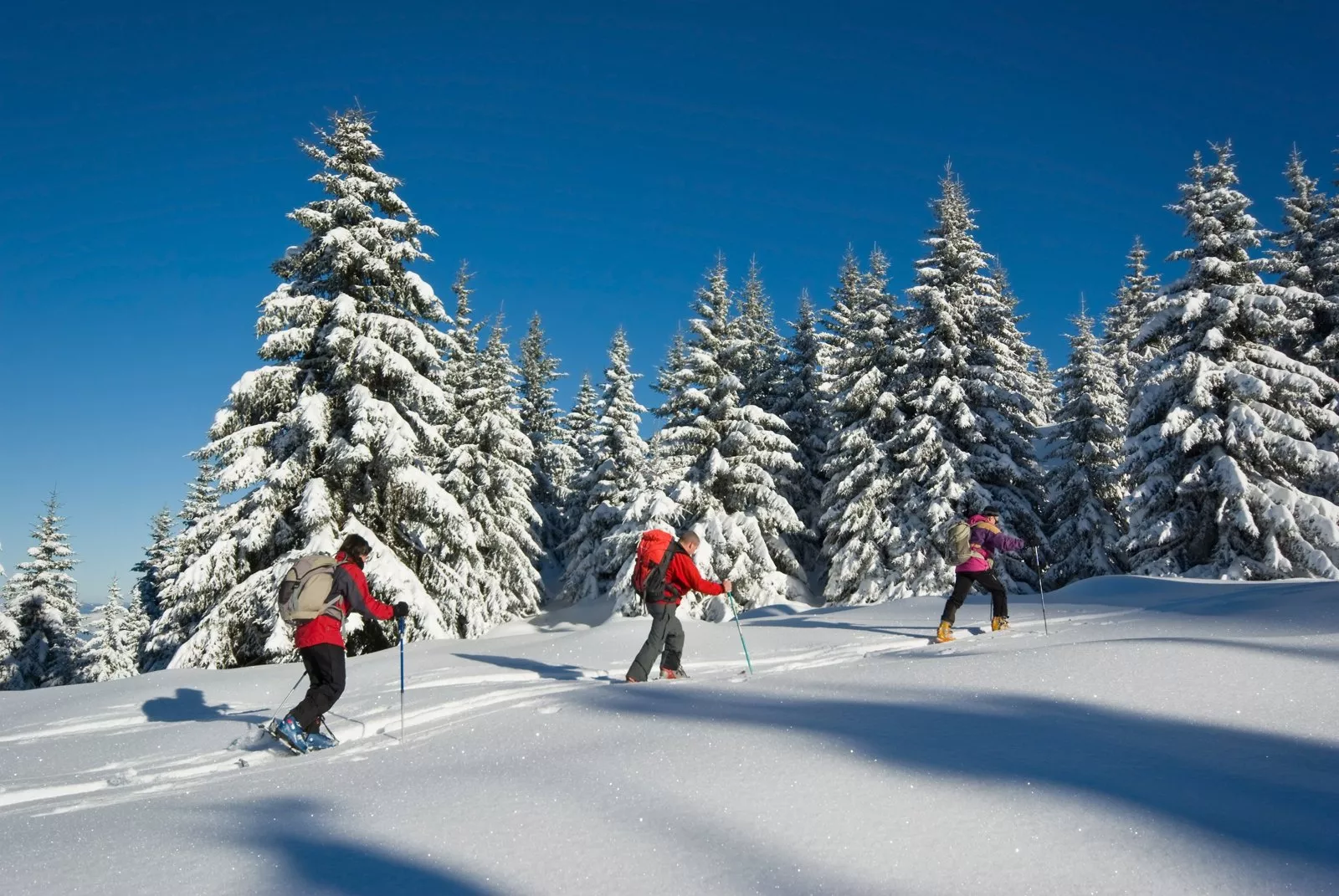 Trois skieurs de randonnée en montée dans la neige fraîche